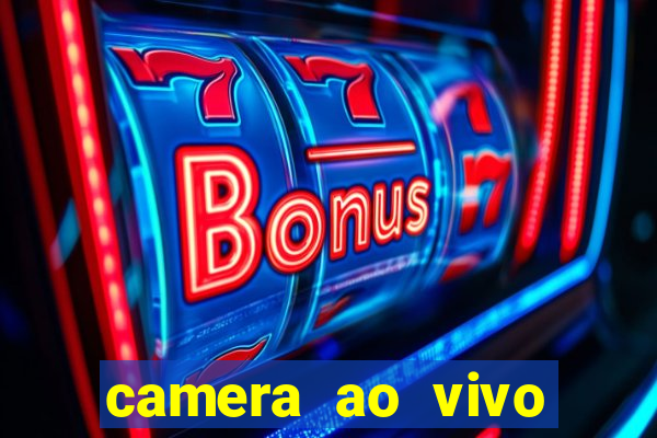 camera ao vivo terminal vila nova cachoeirinha